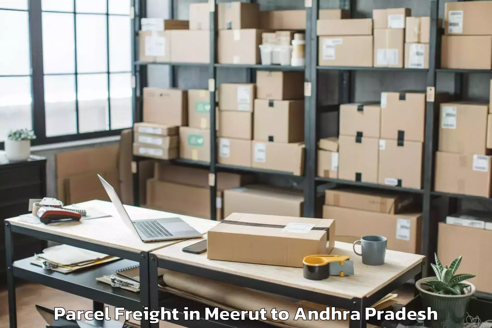 Efficient Meerut to Vidyanagar Nellore Parcel Freight